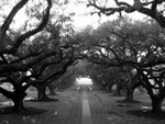 oakalley