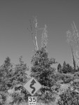 road