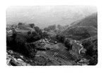 Riziere, Sapa, Vietnam.