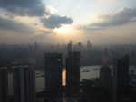 Shanghai urban forest