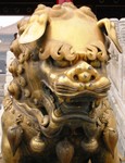 Chien
