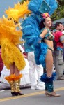 plumes