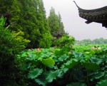 LotusTempleSature