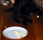 FromageGame