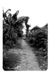 LB chemin