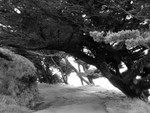 belleroute
