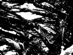 branchescontrastees